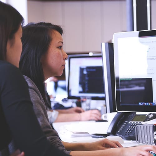 Employment Tax - image staff looking at computer