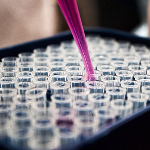 Research and development Tax image testing samples