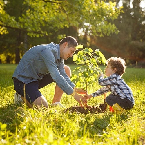 Private client image - father and son planting a plant in the ground