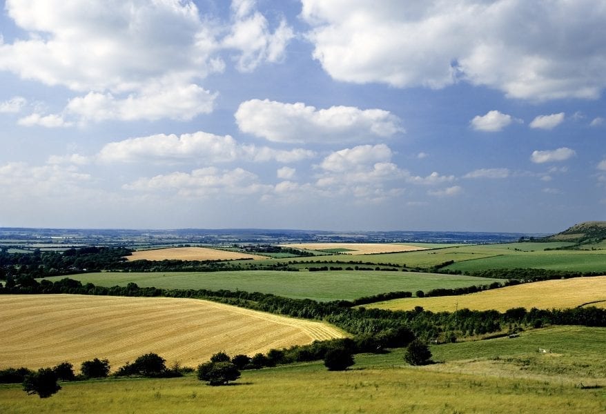 rolling english countryside the chilterns buckinghamshire home counties england uk