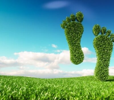 Footprint Shaped Hedge Shapes