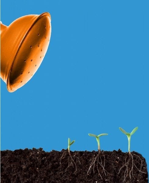 orange watering can above seedlings in front of a clear blue sky
